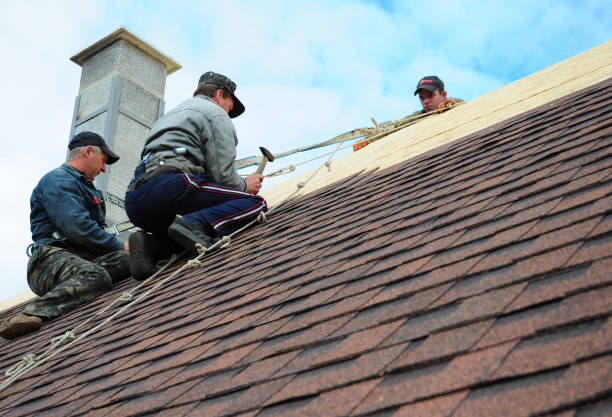 Quick and Trustworthy Emergency Roof Repair Services in Celebration, FL